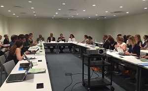 2016_07_18_HLPF Side Event