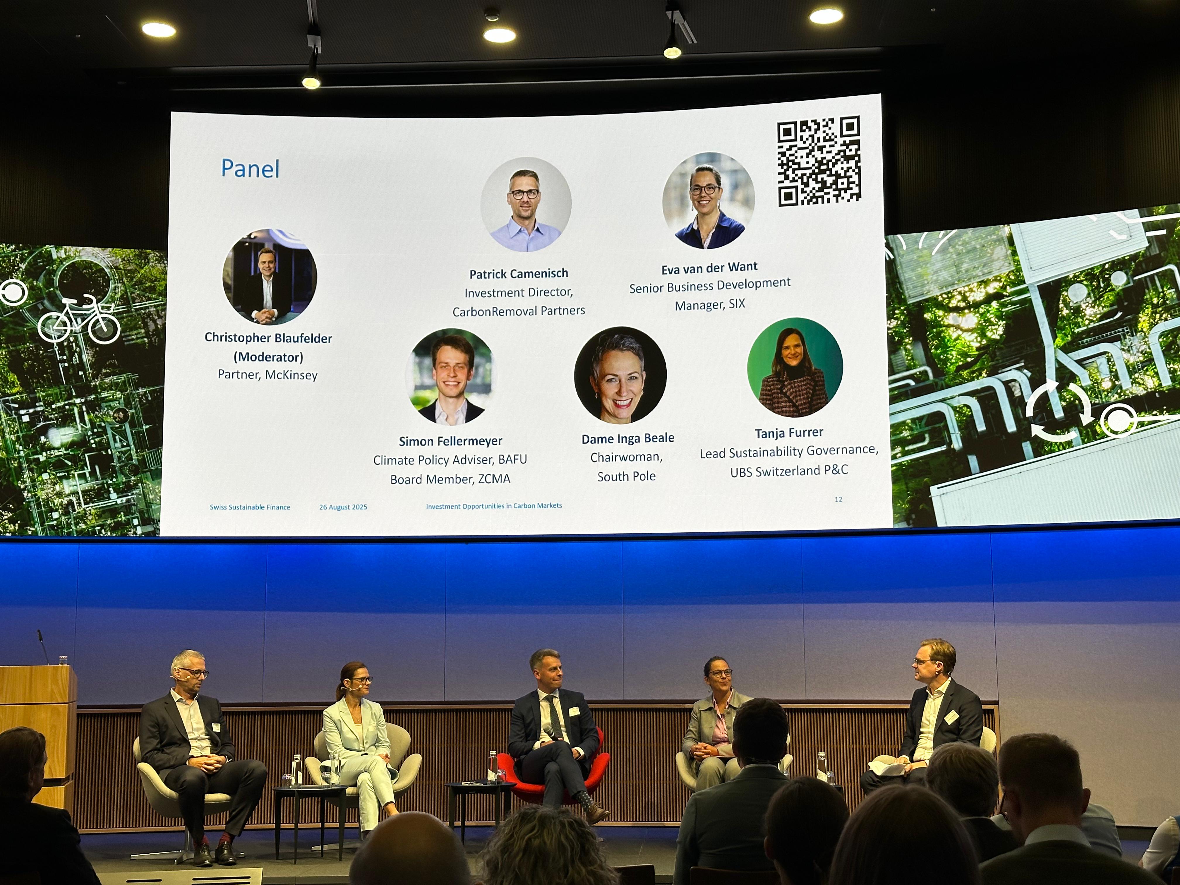 Panel Carbon