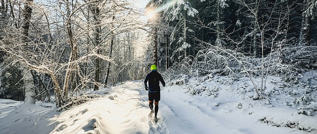 Newsletter Header January 2026