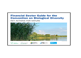2021_08_CBD_financial_sector_biodiversity_265_190