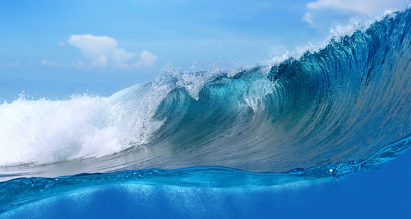 shutterstock_68864008_wave_600_320