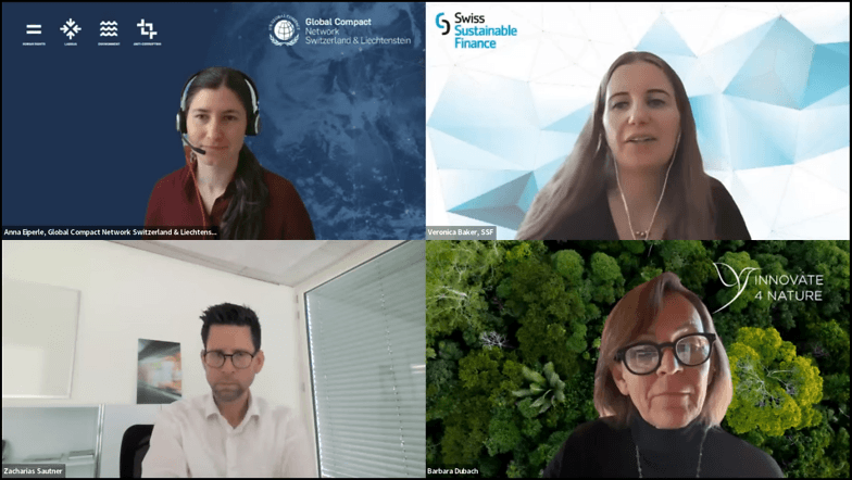 2026 03 23 Screenshot Webinar