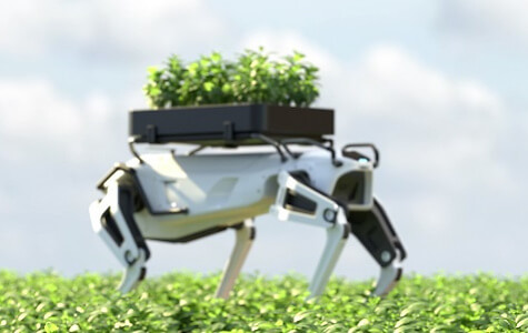 2026 04 22 shutterstock 2715513983 2000x300