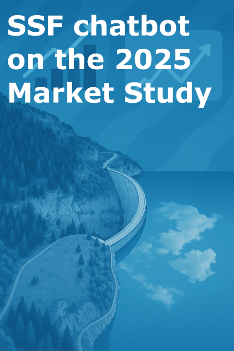 SSF 2025 market study chatbot (public)